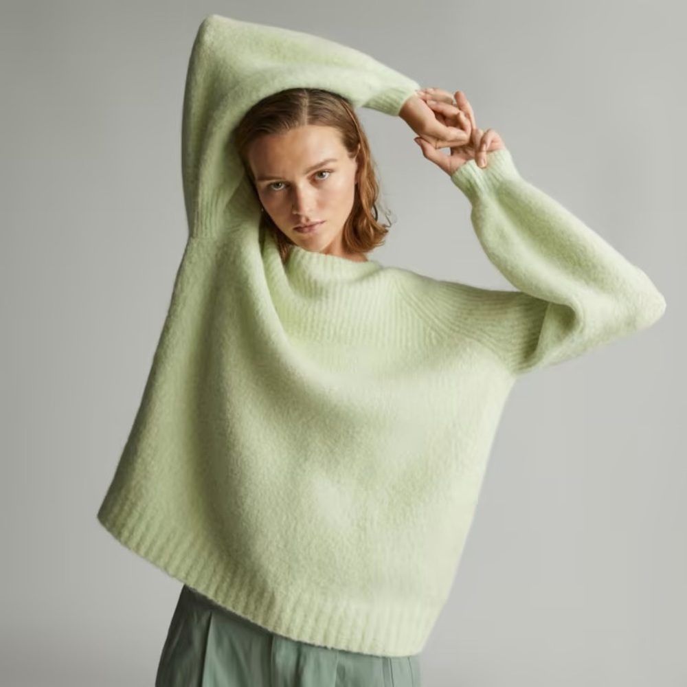 NWOT Everlane SuperFuzz Alpaca Oversized Crew